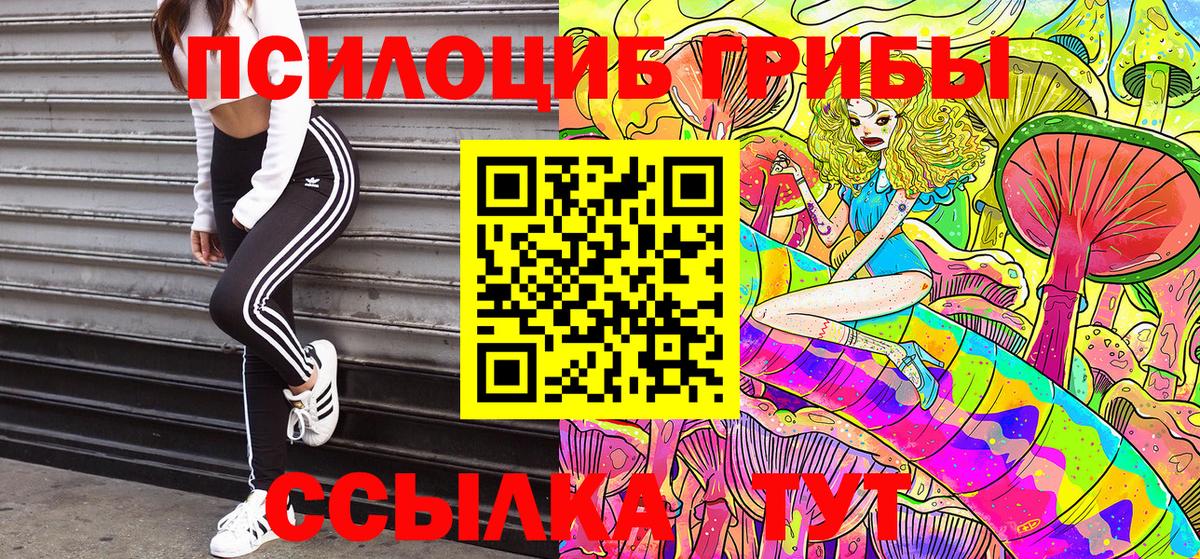 Североморск  Псилоцибиновые грибы Psilocybine cubensis  Вход с VPN 